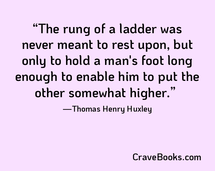 The rung of a ladder was never meant to rest upon, but only to hold a man's foot long enough to enable him to put the other somewhat higher.